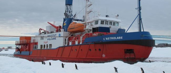 Le brise-glace L'Astrolabe en Antarctique. Ses six semaines à bord inspirèrent à Daphné Buiron le beau livre L'Astrolabe - Le passeur de l'Antarctique (E/P/A, 2017, avec Stéphane Dugast) et la bande dessinée Le grand voyage de l'Astrolabe (Le Pommier, 2017, illustrations de Catherine Cordasco). Photo de Daphné Buiron 