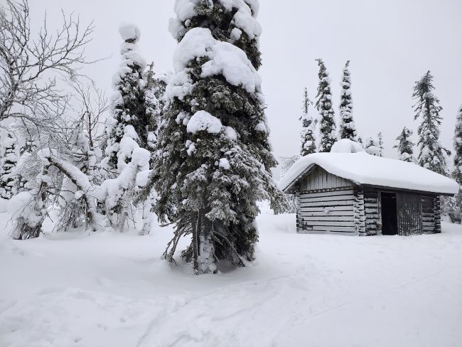 Une cabane sous la neige en Laponie finlandaise. Photo de Mickael B., février 2023.