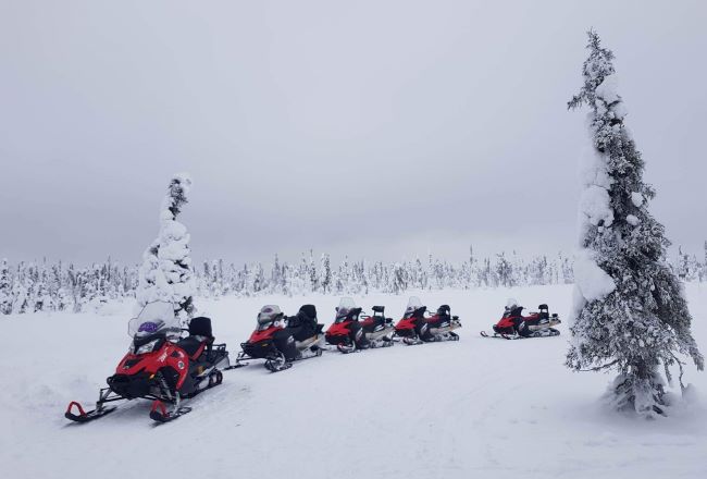 Motoneige en Laponie finlandaise. Photo de Mickael B., février 2023.