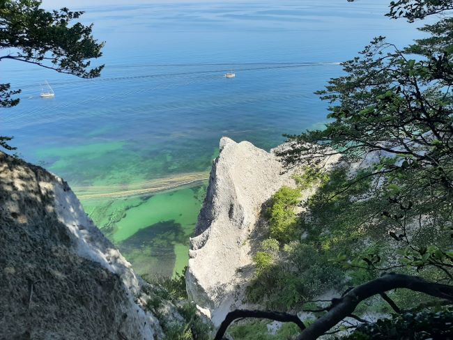 Vue sur la Baltique depuis les falaises de Møn par Philippe G., voyageur Nord Espaces, juillet 2023