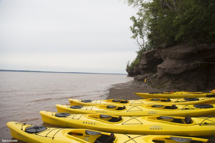 Kayak en baie de Fundy, Nouveau-Brunswick, Canada - Nord Espaces