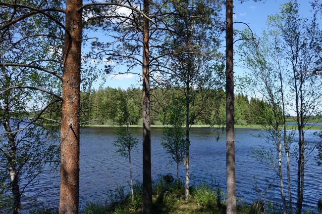 Île boisée sur un lac d'Ostrobotnie, en Finlande. Photo Nord Espaces