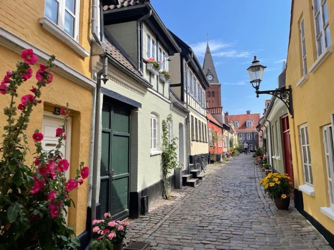 Une rue fleurie d'Aalborg. Photo de Patricia Z., août 2022
