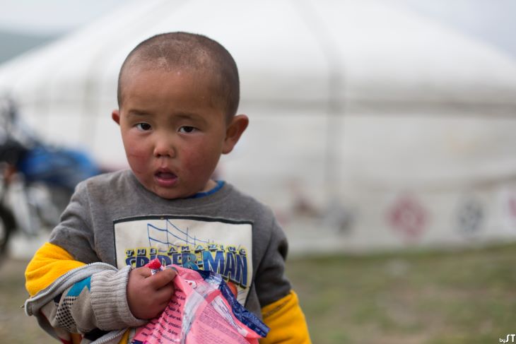 Beku, 2 ans, Altaï, Mongolie