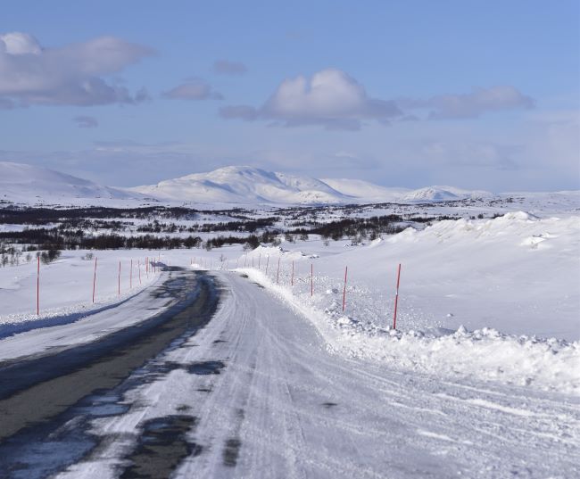 Route aux environs de Røros. Photo Laurent de Nord Espaces, Norvège, avril 2022