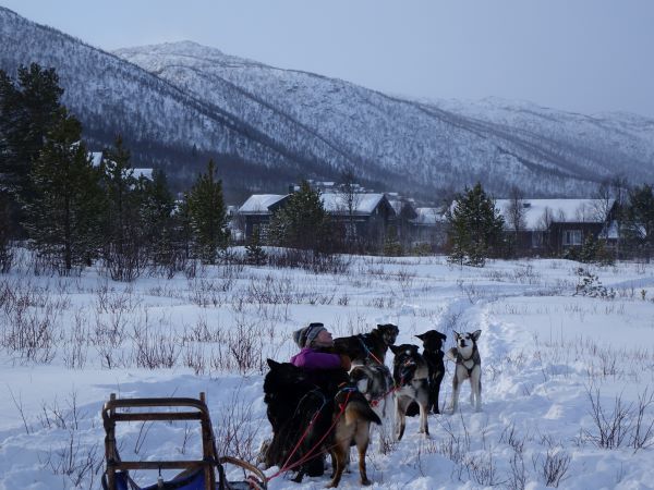 Maria assaillie par des huskies à Geilo. Photo Sébastien de Nord Espaces, février 2022