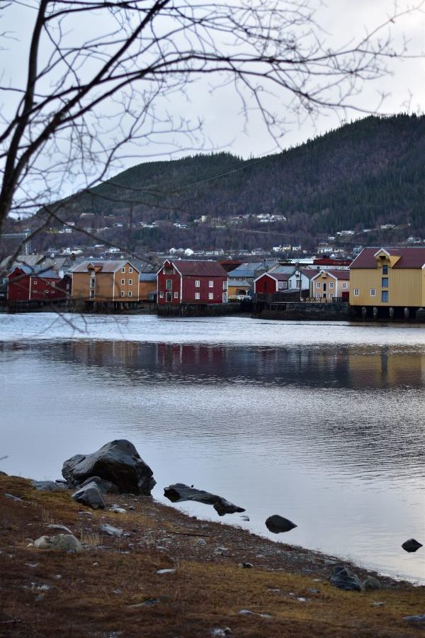 Mosjøen au bord de la Vefsna. Photo de Laurent de Nord Espaces, novembre 2021