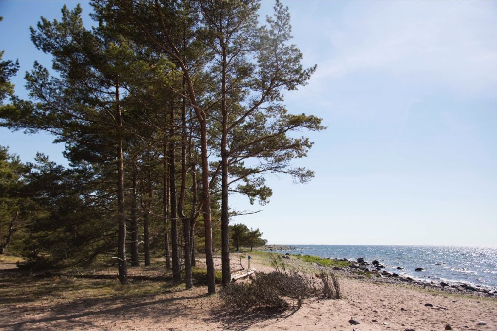 Île d’Örö, Finlande, par Stéphanie Thevenon