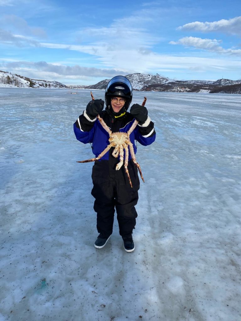 crabe royal Kirkenes