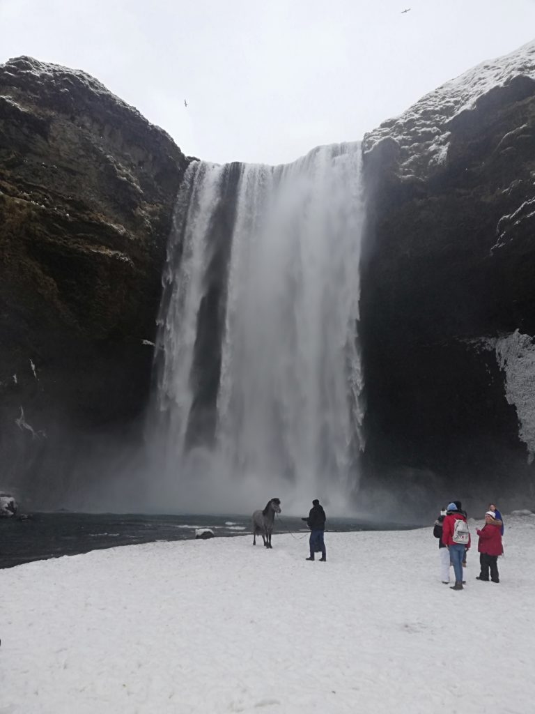 Chute d'eau et cheval islandais, Jean-Louis Aisse, février 2020