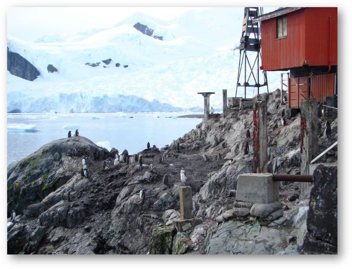 Fondée en 1951, la base Almirante Brown n'est occupée que pendant l'été austral. Photo : Maya A.