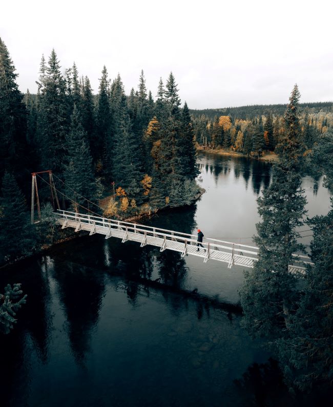 Une rivière et forêt du Jämtland en Suède, par Philipp Pilz / Unsplash