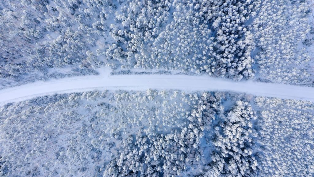 Vue aérienne d'une forêt enneigée de Lettonie, par Kristaps Ungurs