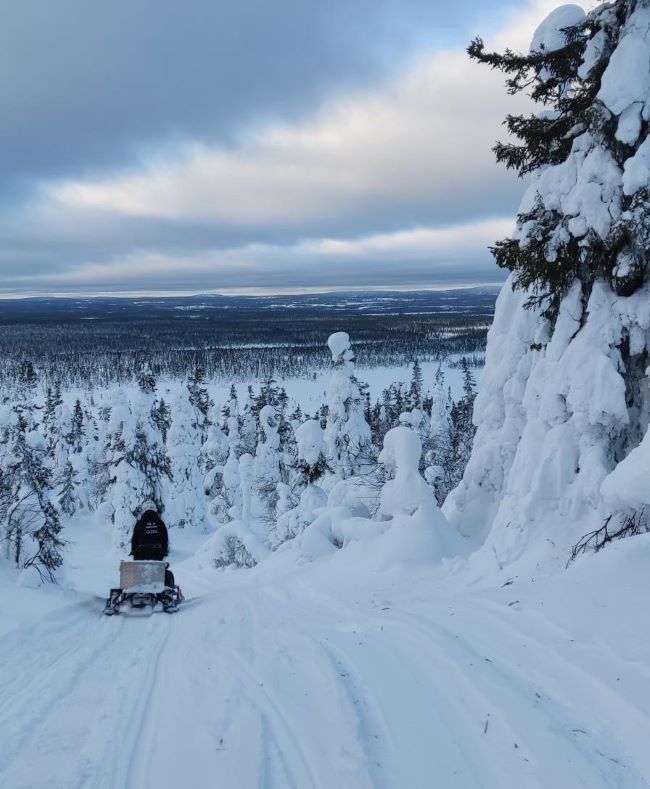 Paysage typique de Laponie par nos voyageuses Manon H. et Laure B., Finlande, janvier 2024