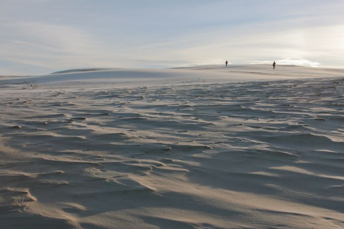 La dune de Råbjerg Mile par Heje