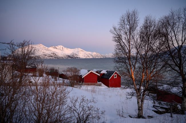 La côte près de Tromsø par notre voyageuse Sylviane L., Norvège, janvier 2024