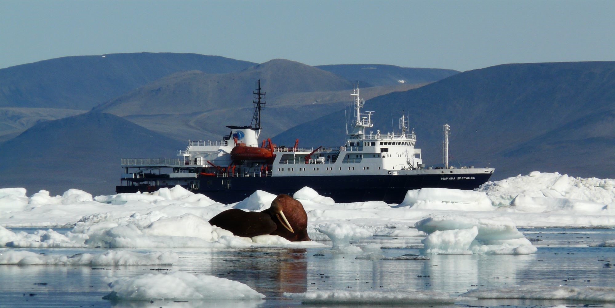 Detroit Separant La Russie De L Alaska Detroit Separant La Russie De L Alaska - Communauté MCMS