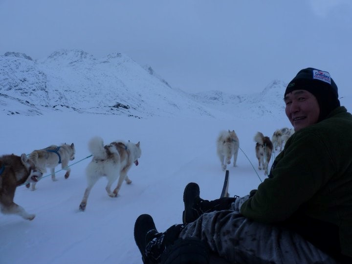 Traîneau à chiens au Groenland. Photo : Natacha de Nord Espaces