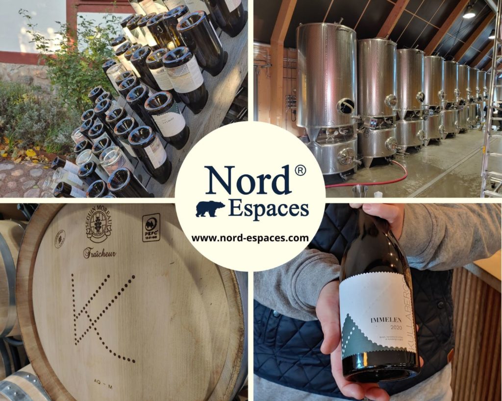 La viticulture suédoise est aujourd'hui au meilleur niveau. Photos Julia de nord Espaces, octobre 2022