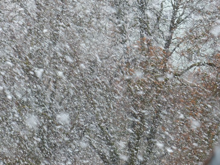 Tempête de neige en Alaska