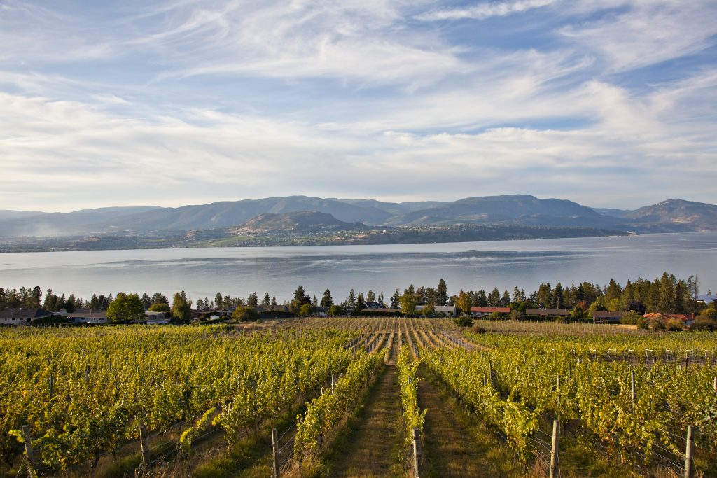 Route des vins de la vallée de l’Okhanagan, Colombie-Britannique, Canada - Nord Espaces