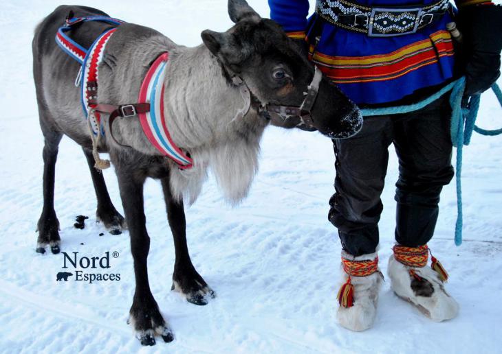 Blog - Sur les traces des Sami de Finlande | Nord Espaces