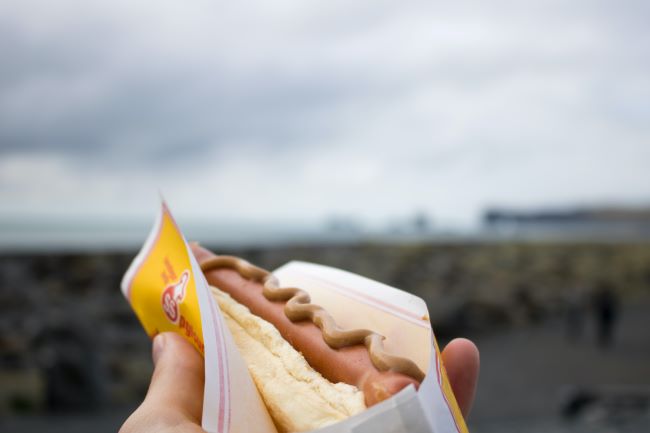Un hot dog islandais (pylsur), mélange de bœuf, porc et agneau, par Jonathan Larson / Unsplash