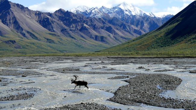 La magie des parcs nationaux en Alaska. Photo de Joris Beugels / Unsplash