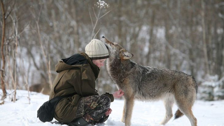 Laetitia Becker et un loup