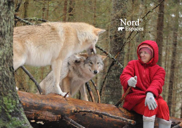 Loups de Russie par Julia de Nord Espaces