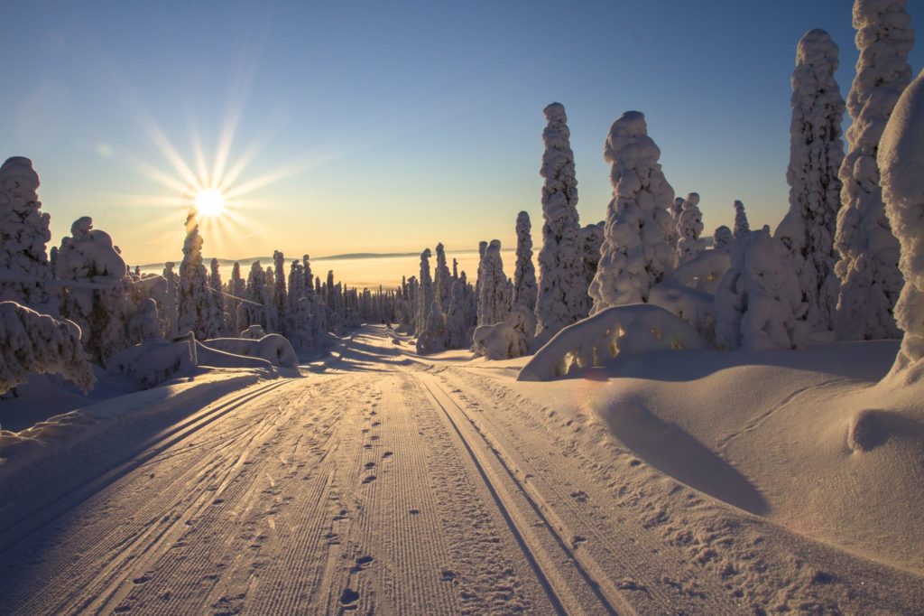 Au cours de la guerre d'Hiver, il arriva que l'on se batte en Laponie finlandaise par une température de -40°C. Photo Pixabay 