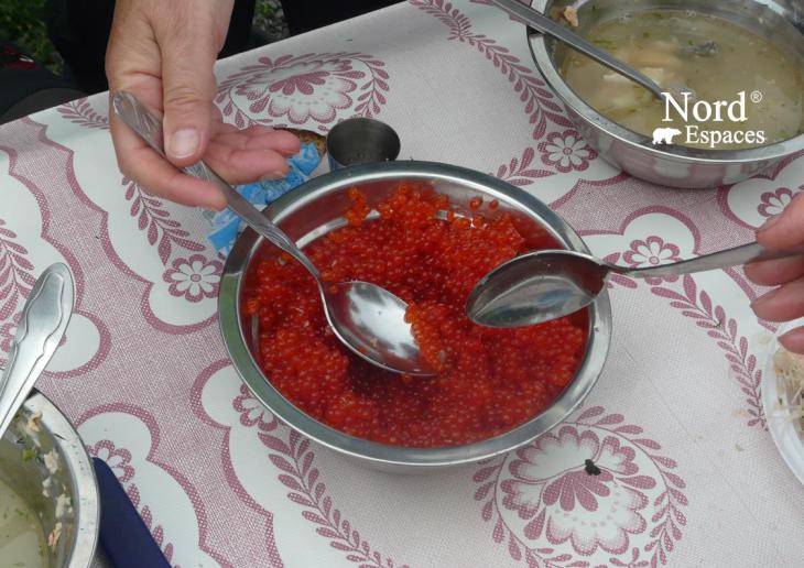 Caviar rouge, oeufs de saumons du Kamtchatka 
